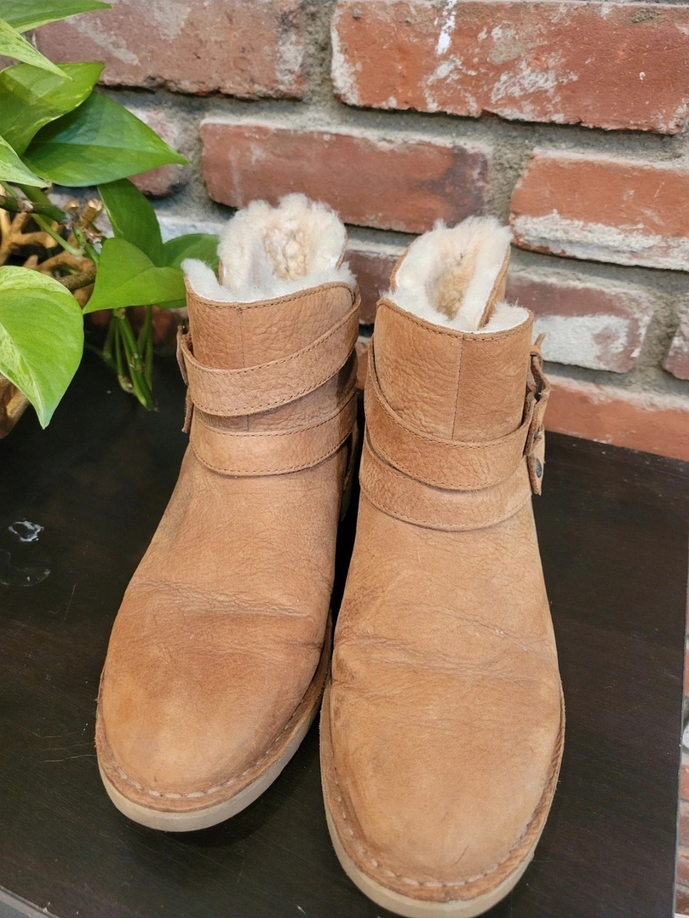 UGG Chestnut Shearling Short Boot - Picture 5 of 8